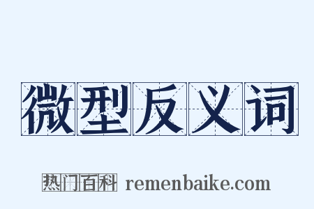 微型反义词是什么意思的图片
